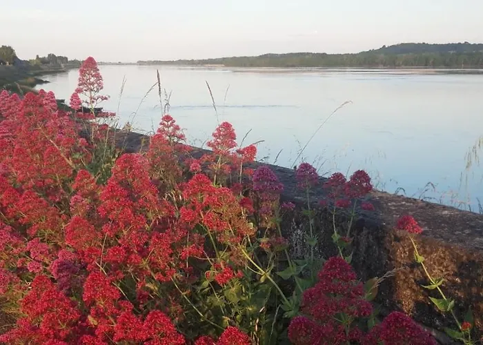 D'hôtes Du Chemin La Bohalle